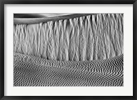 California, Valley Dunes Wall (BW) Fine Art Print