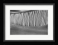 California, Valley Dunes Wall (BW) Fine Art Print