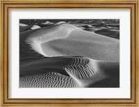 Valley Dunes Desert, California (BW) Fine Art Print