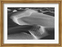 Valley Dunes Desert, California (BW) Fine Art Print