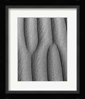 Animal Tracks In The Valley Dunes, California (BW) Fine Art Print