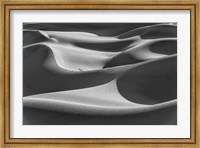 Desert Dunes, California (BW) Fine Art Print