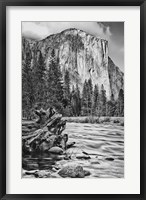 California, Yosemite, El Capitan (BW) Fine Art Print