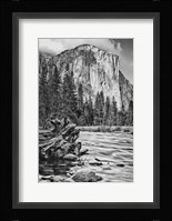 California, Yosemite, El Capitan (BW) Fine Art Print