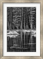 California, Sierra Lake (BW) Fine Art Print