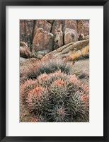 California, Alabama Hills, Cactus Fine Art Print