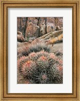California, Alabama Hills, Cactus Fine Art Print