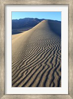 Mesquite Dunes, Death Valley Np, California Fine Art Print