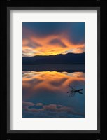 Lone Branch At Cotton Ball Basin Fine Art Print