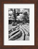 Granite Outcropping At Yosemite NP (BW) Fine Art Print