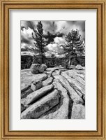 Granite Outcropping At Yosemite NP (BW) Fine Art Print