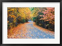 Autumn Along  Mirror Lake Road Fine Art Print