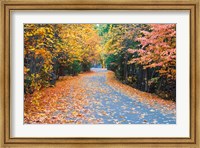 Autumn Along  Mirror Lake Road Fine Art Print