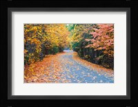 Autumn Along  Mirror Lake Road Fine Art Print