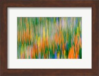 Wildflower Abstraction, Angeles National Forest Fine Art Print