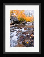 Rushing Water Along Bishop Creek Fine Art Print