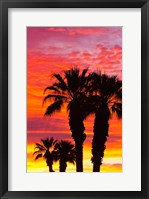 Silhouetted Palms At Sunrise Fine Art Print