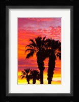 Silhouetted Palms At Sunrise Fine Art Print