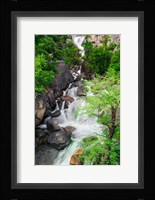 Cascade Creek, California Fine Art Print