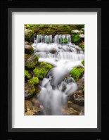 Fern Spring, California Fine Art Print