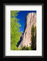 Morning Light On El Capitan Fine Art Print