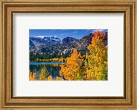 Golden Fall Landscape At June Lake Fine Art Print