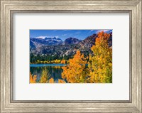 Golden Fall Landscape At June Lake Fine Art Print