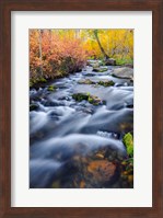 Autumn Colors Along Lundy Creek Fine Art Print
