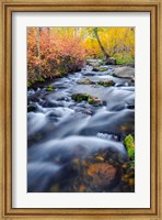 Autumn Colors Along Lundy Creek Fine Art Print