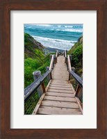 Boardwalk Trail To Sand Dollar Beach Fine Art Print