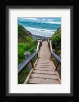 Boardwalk Trail To Sand Dollar Beach Fine Art Print