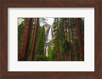 Yosemite Falls Through A Forest Fine Art Print