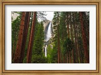 Yosemite Falls Through A Forest Fine Art Print