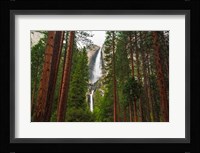 Yosemite Falls Through A Forest Fine Art Print