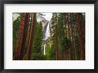 Yosemite Falls Through A Forest Framed Print