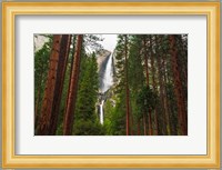 Yosemite Falls Through A Forest Fine Art Print