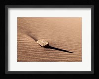 Rock And Ripples On A Dune, Colorado Fine Art Print