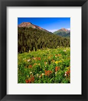 Wildflowers In Meadow Of The Maroon Bells-Snowmass Wilderness Fine Art Print