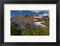 Wildflowers On Cinnamon Pass Fine Art Print