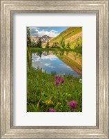 Paradise Divide Pond Reflection Fine Art Print