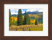 Autumn Colors In The San Juan Mountains, Colorado Fine Art Print
