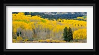 Autumn Grove Panorama At The Base Of The Ruby Range Fine Art Print