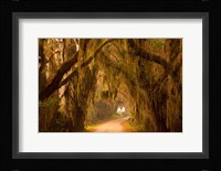 Savannah Wildlife Refuge, Georgia Fine Art Print