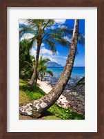 Hideaways Beach, Island Of Kauai, Hawaii Fine Art Print