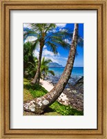 Hideaways Beach, Island Of Kauai, Hawaii Fine Art Print