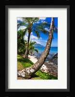 Hideaways Beach, Island Of Kauai, Hawaii Fine Art Print