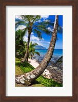 Hideaways Beach, Island Of Kauai, Hawaii Fine Art Print