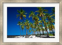 Coconut Palms At Pu'uhonua O Honaunau National Historic Park, Hawaii Fine Art Print