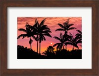 Sunset Through Silhouetted Palm Trees, Kona Coast, Hawaii Fine Art Print