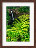 Rainbow Falls, Wailuku River State Park, Hawaii Fine Art Print